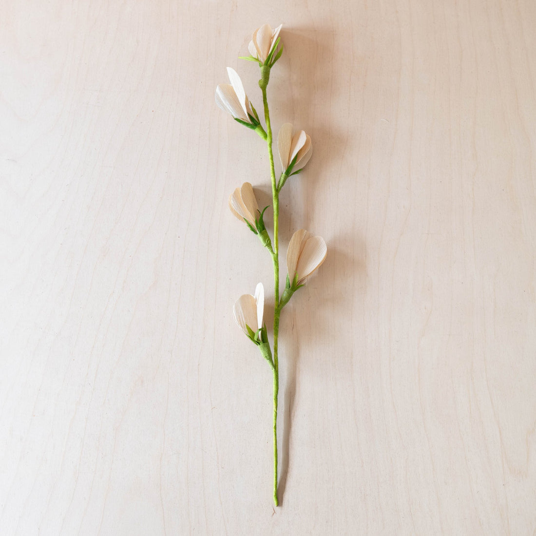 flower - Natural Corn Husk Flower Branches, case of 6 – Decorative Flower Branches | LIKHÂ - LIKHÂ