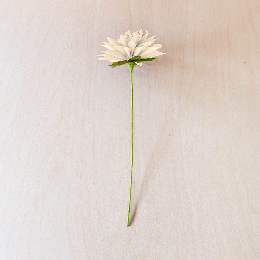 flower - Natural Waterlily Corn Husk Flowers, case of 6 – Decorative Flower Stems | LIKHÂ - LIKHÂ