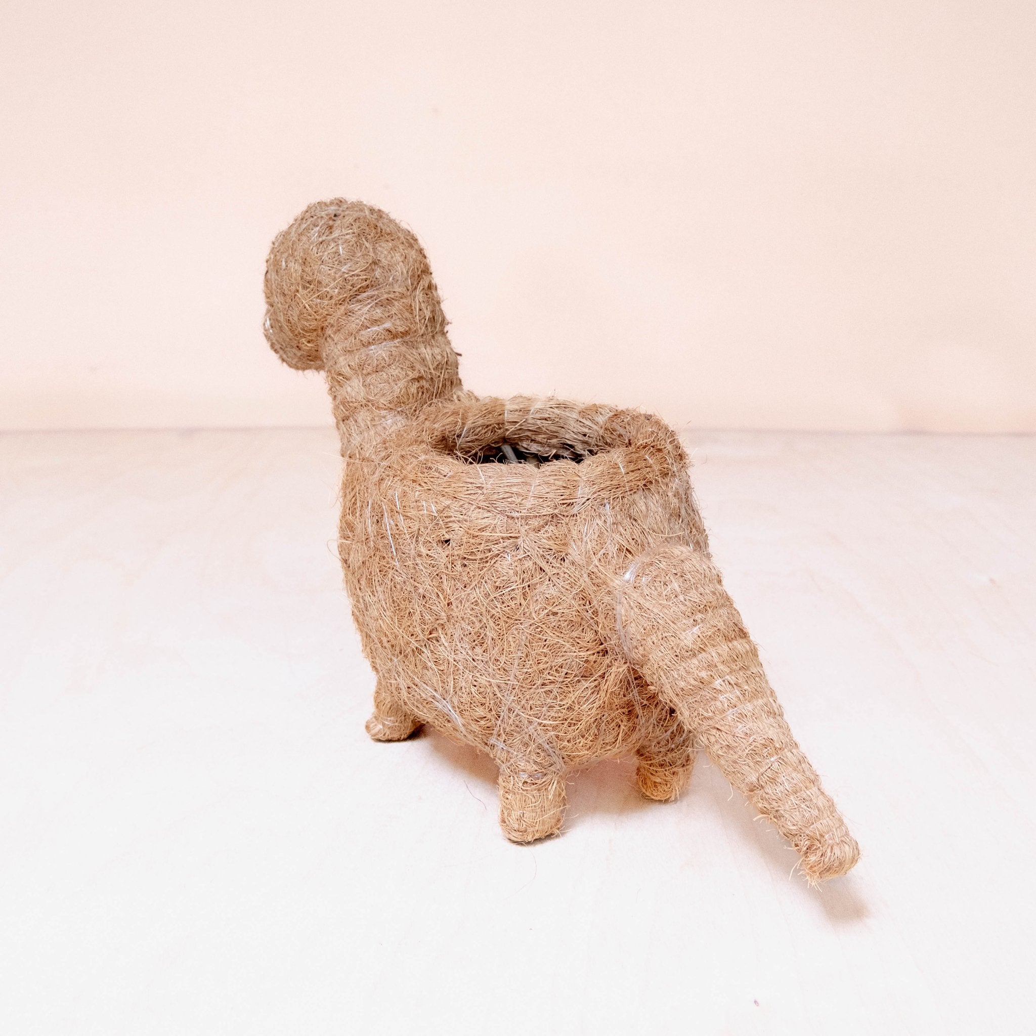Planters - Baby Brontosaurus Planter - Handmade Pots | LIKHÂ - LIKHÂ