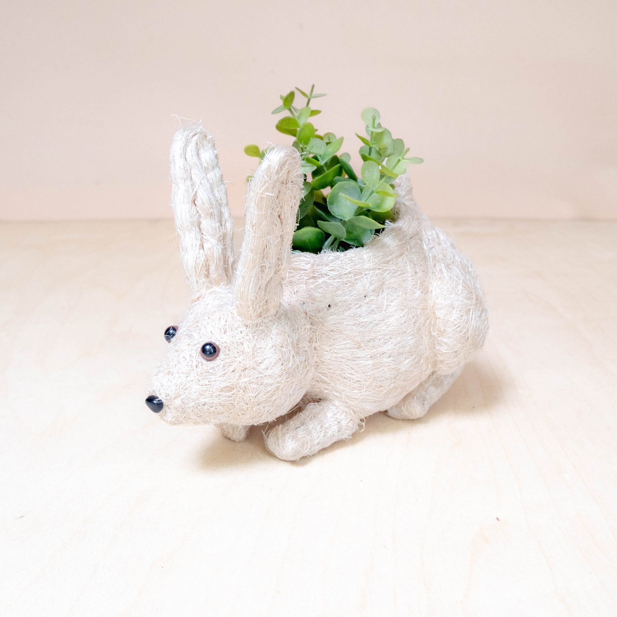 rabbit planter pot Baby Bunny Planter - Coco Coir Pots