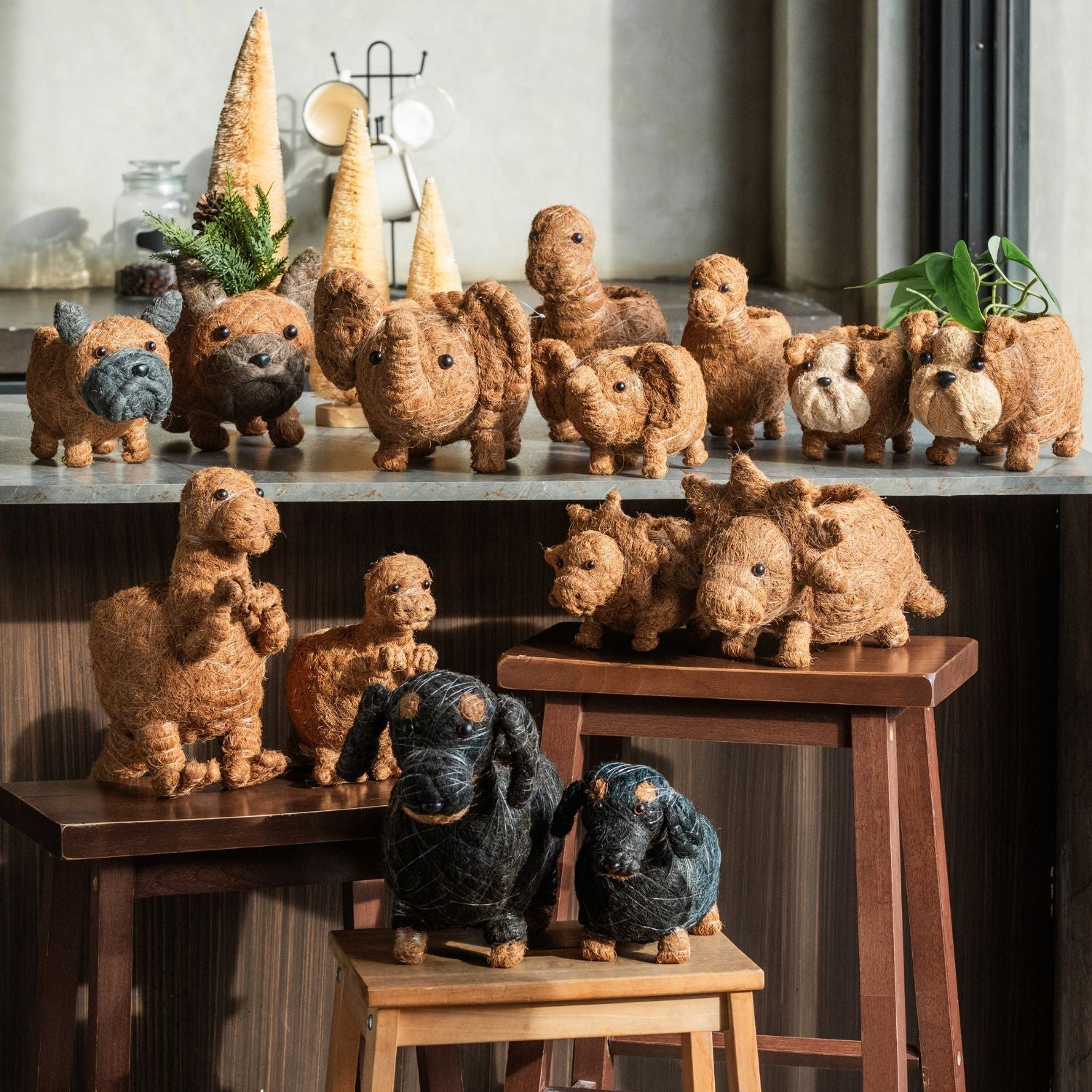 Planters - Baby Dachshund - Coco Coir Pots | LIKHÂ - LIKHÂ