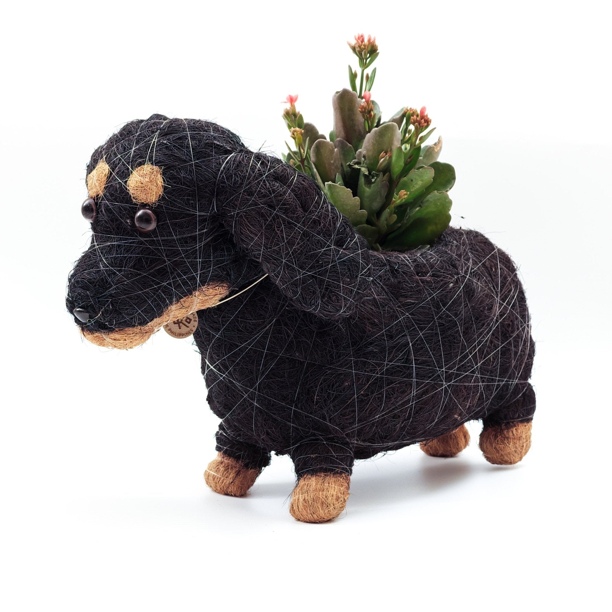 Planters - Baby Dachshund - Coco Coir Pots | LIKHÂ - LIKHÂ