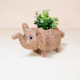 Planters - Baby Elephant Planter - Coco Coir Planter | LIKHÂ - LIKHÂ