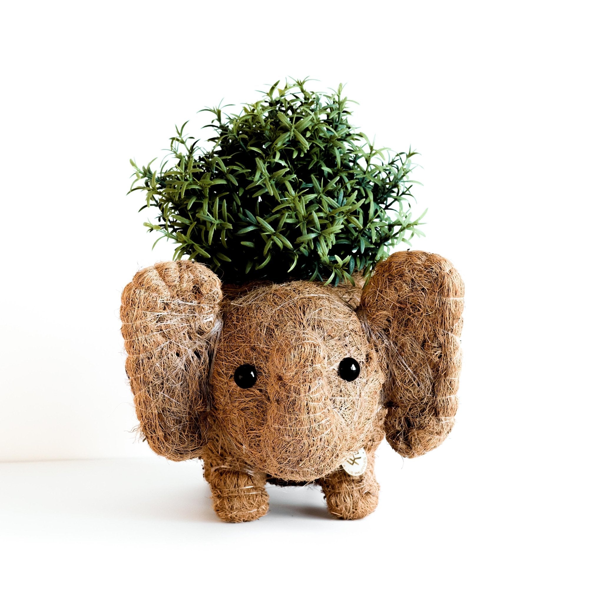 Planters - Baby Elephant Planter - Coco Coir Planter | LIKHÂ - LIKHÂ