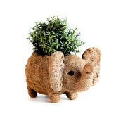 Planters - Baby Elephant Planter - Coco Coir Planter | LIKHÂ - LIKHÂ