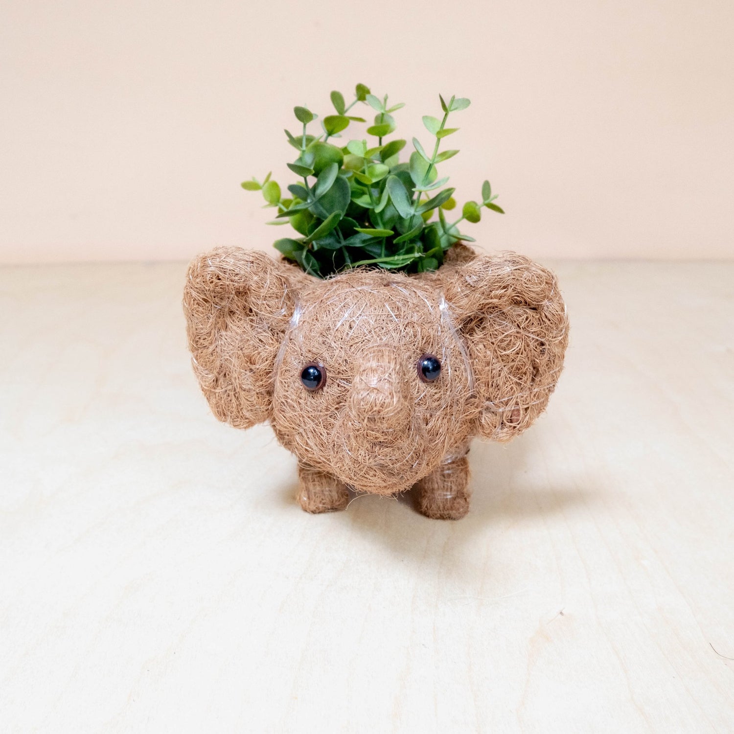 Planters - Baby Elephant Planter - Coco Coir Planter | LIKHÂ - LIKHÂ