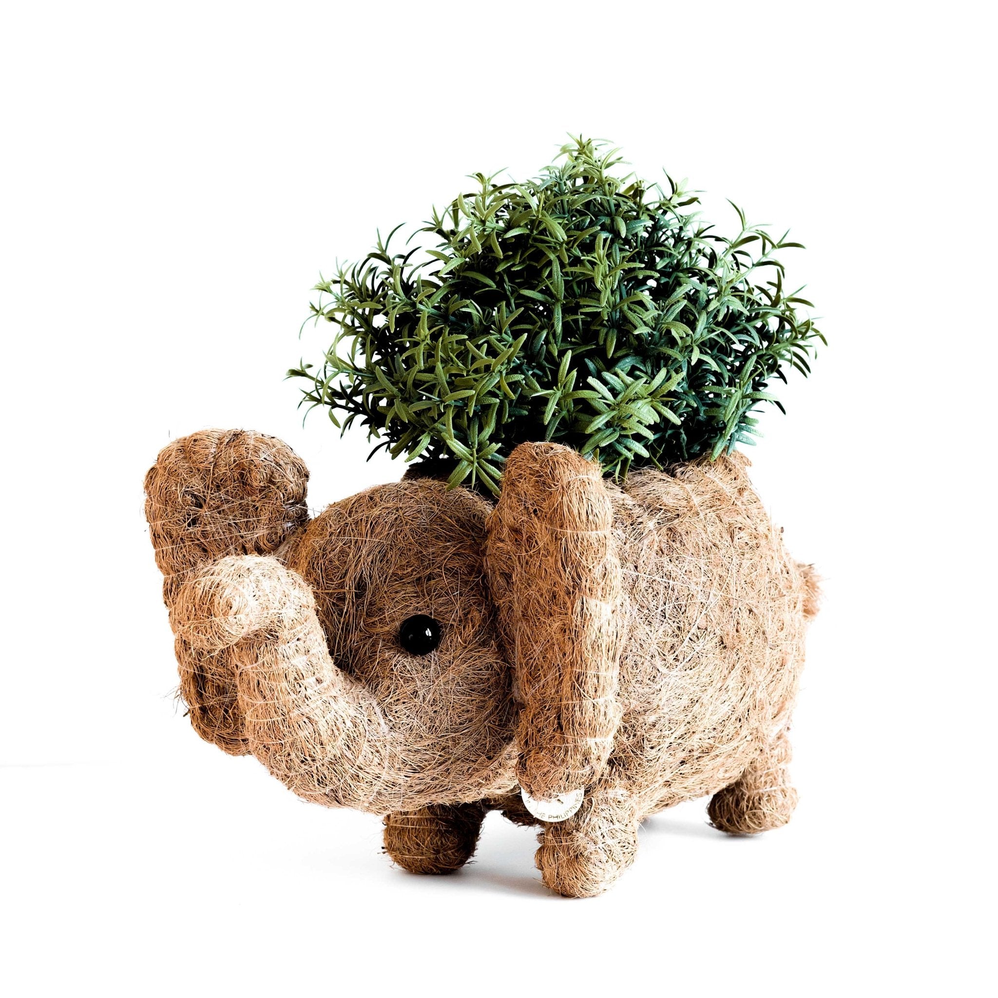 Planters - Baby Elephant Planter - Coco Coir Planter | LIKHÂ - LIKHÂ
