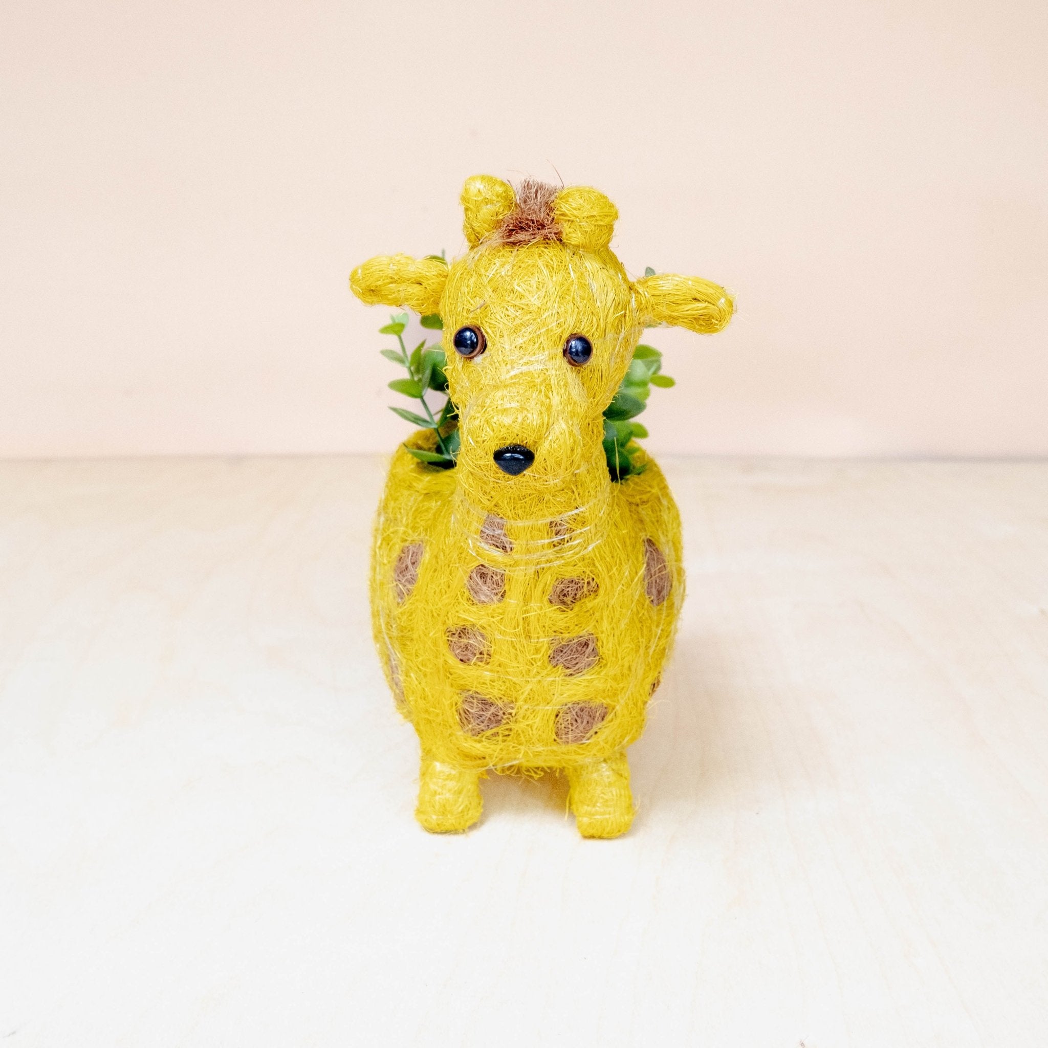 giraffe planter pot Baby Giraffe Planter - Coco Coir Pots