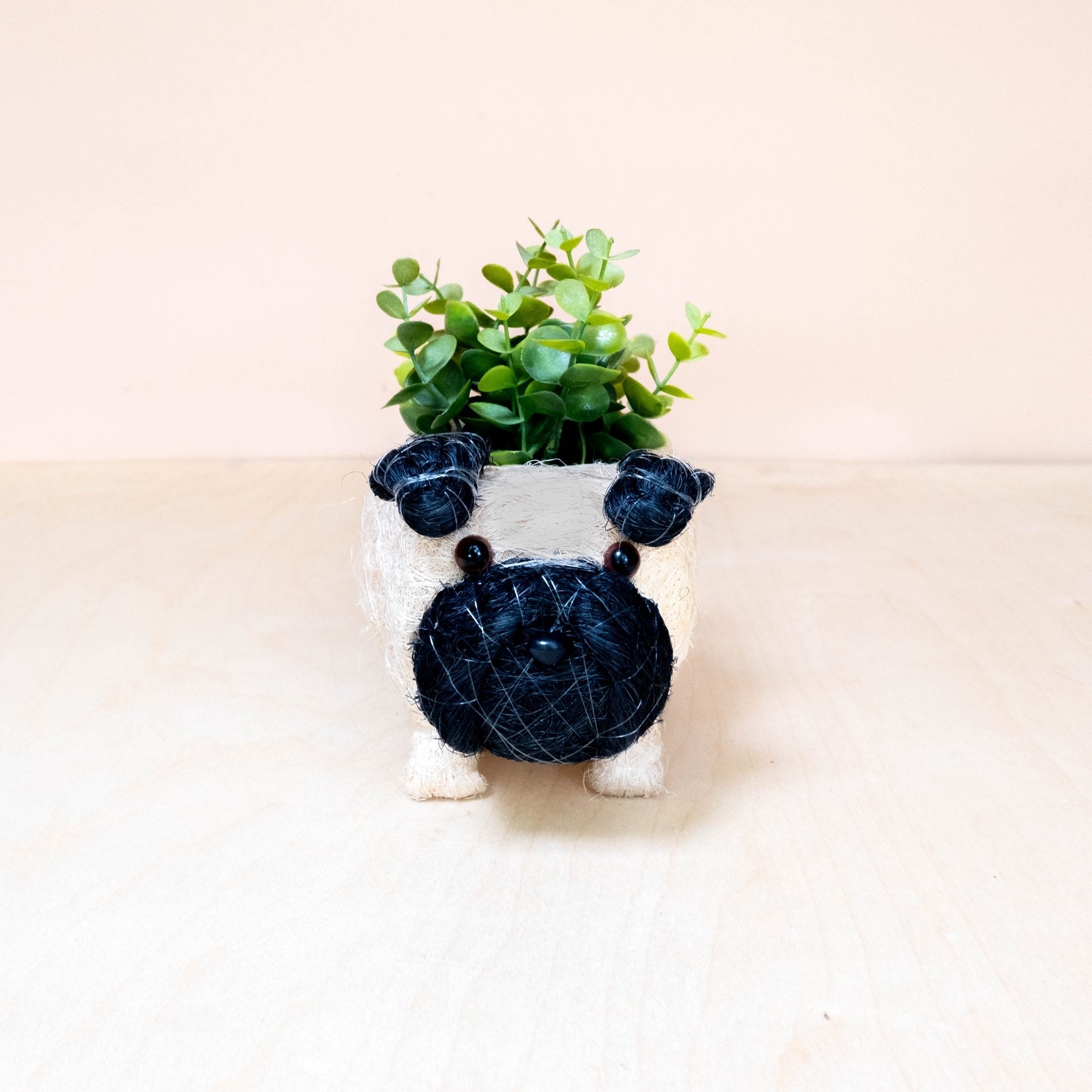 pug succulent planter Baby Pug Planter