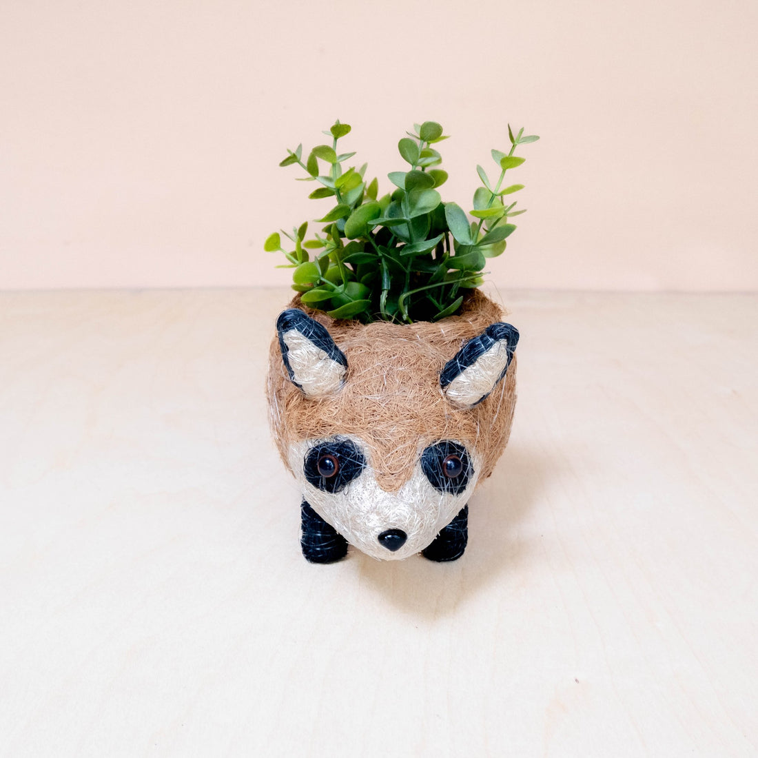 Planters - Baby Raccoon Planter - Handmade Planter | LIKHÂ - LIKHÂ