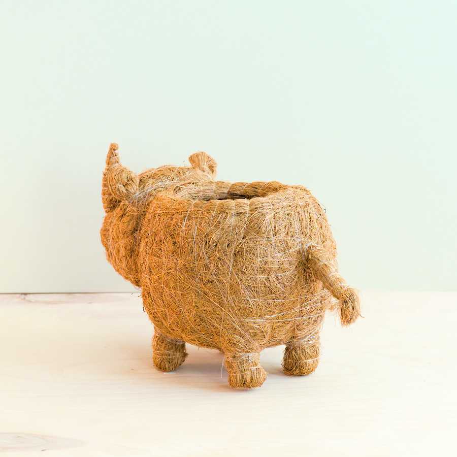 Planters - Baby Rhino Planter - Coco Coir Planter | LIKHÂ - LIKHÂ