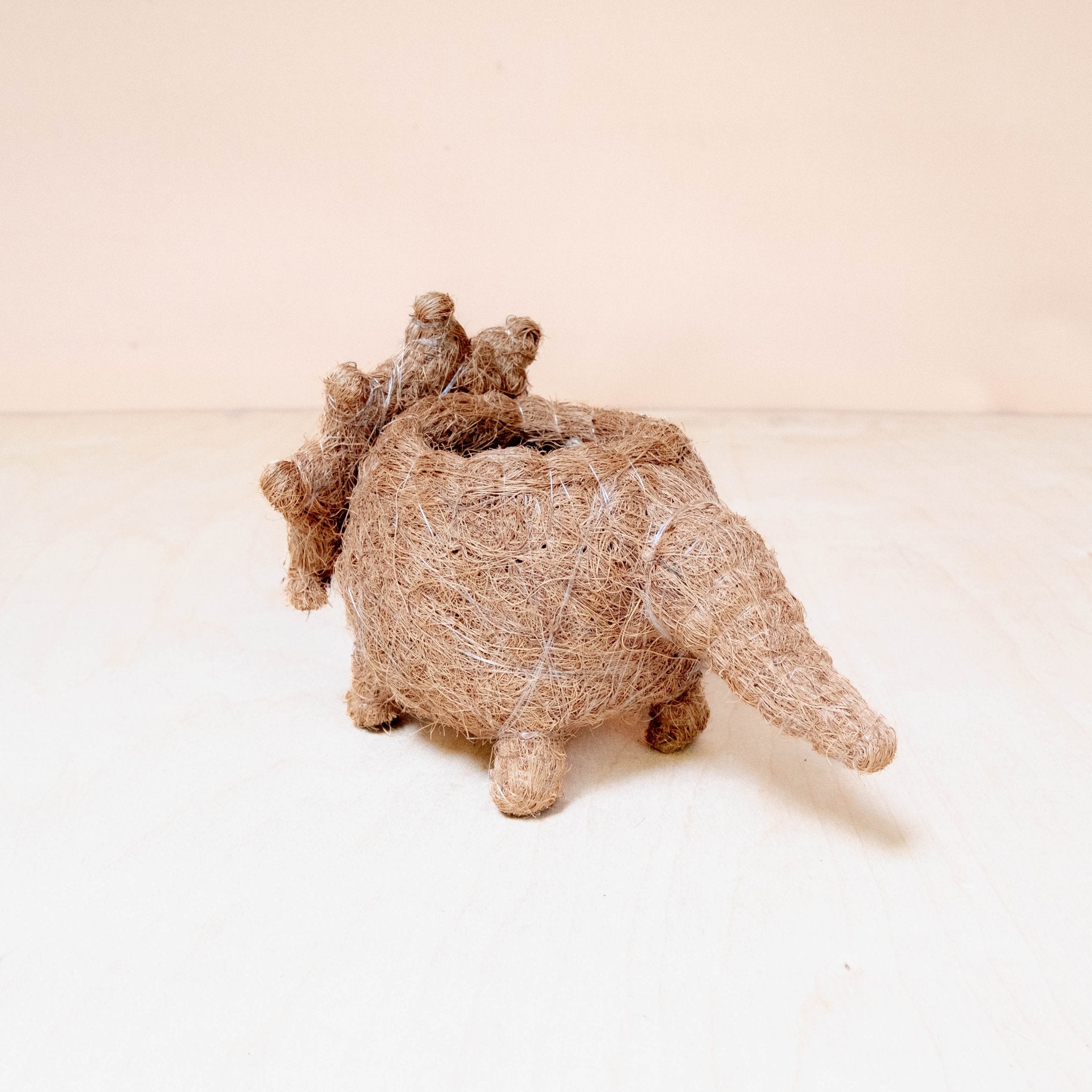 Planters - Baby Triceratops Planter - Handmade Plant Pots | LIKHÂ - LIKHÂ