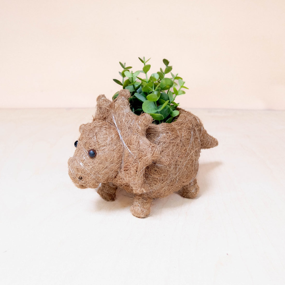 Planters - Baby Triceratops Planter - Handmade Plant Pots | LIKHÂ - LIKHÂ