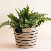 Baskets - Black + Natural Striped Tapered Basket - Modern Baskets | LIKHA - LIKHÂ