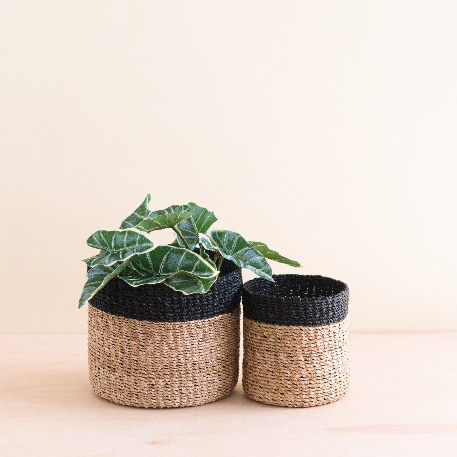 Baskets - Natural + Black Tabletop Catch-All Set of 2 - Tabletop Bins | LIKHÂ - LIKHÂ