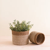 Baskets - Natural + Brown Tabletop Bins Set of 2 - Wicker Baskets | LIKHÂ - LIKHÂ