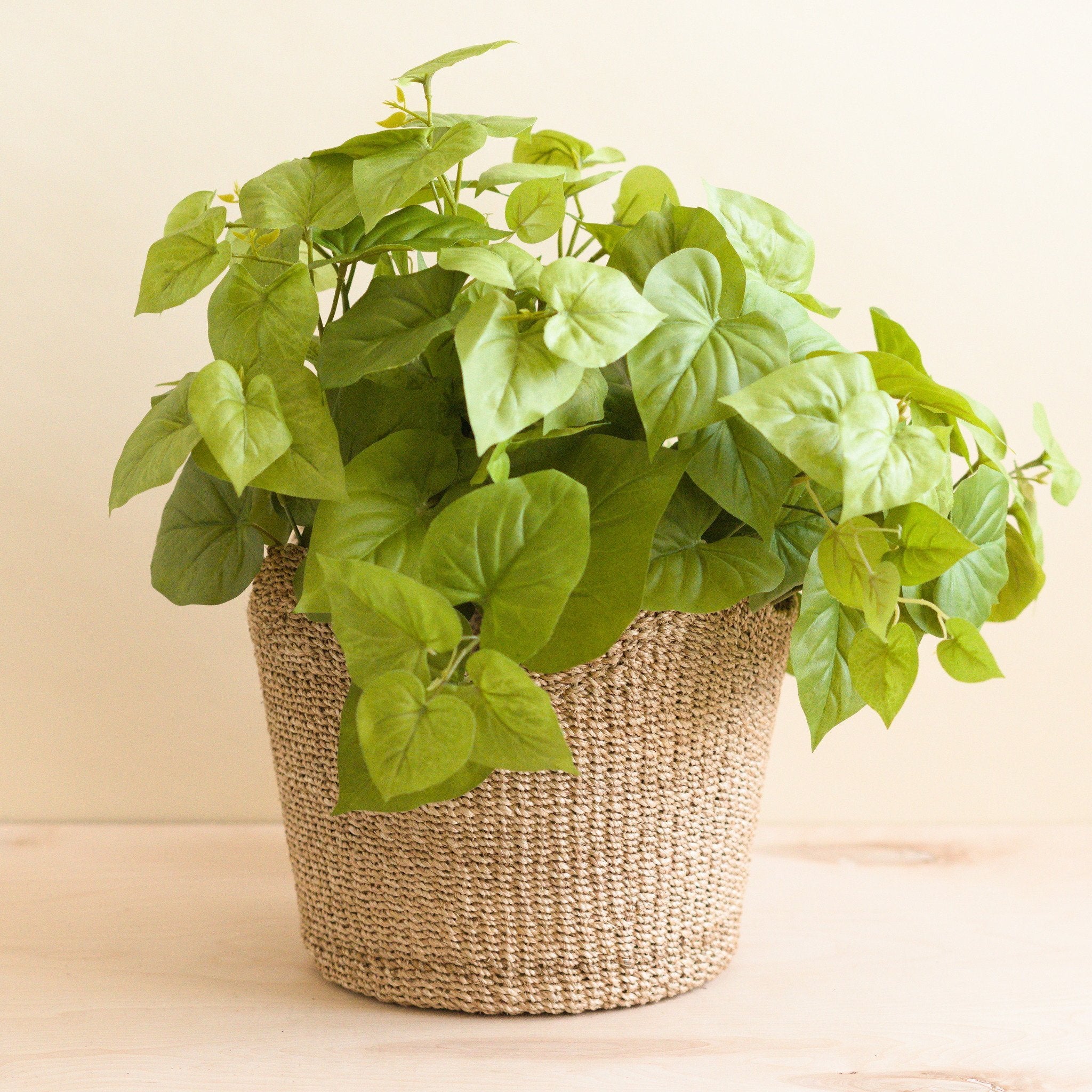 Baskets - Natural Scallop Basket - Planter Basket | LIKHÂ - LIKHÂ