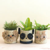 - Panda 6" Seagrass Basket Planter - Animal Planter | LIKHA - LIKHÂ