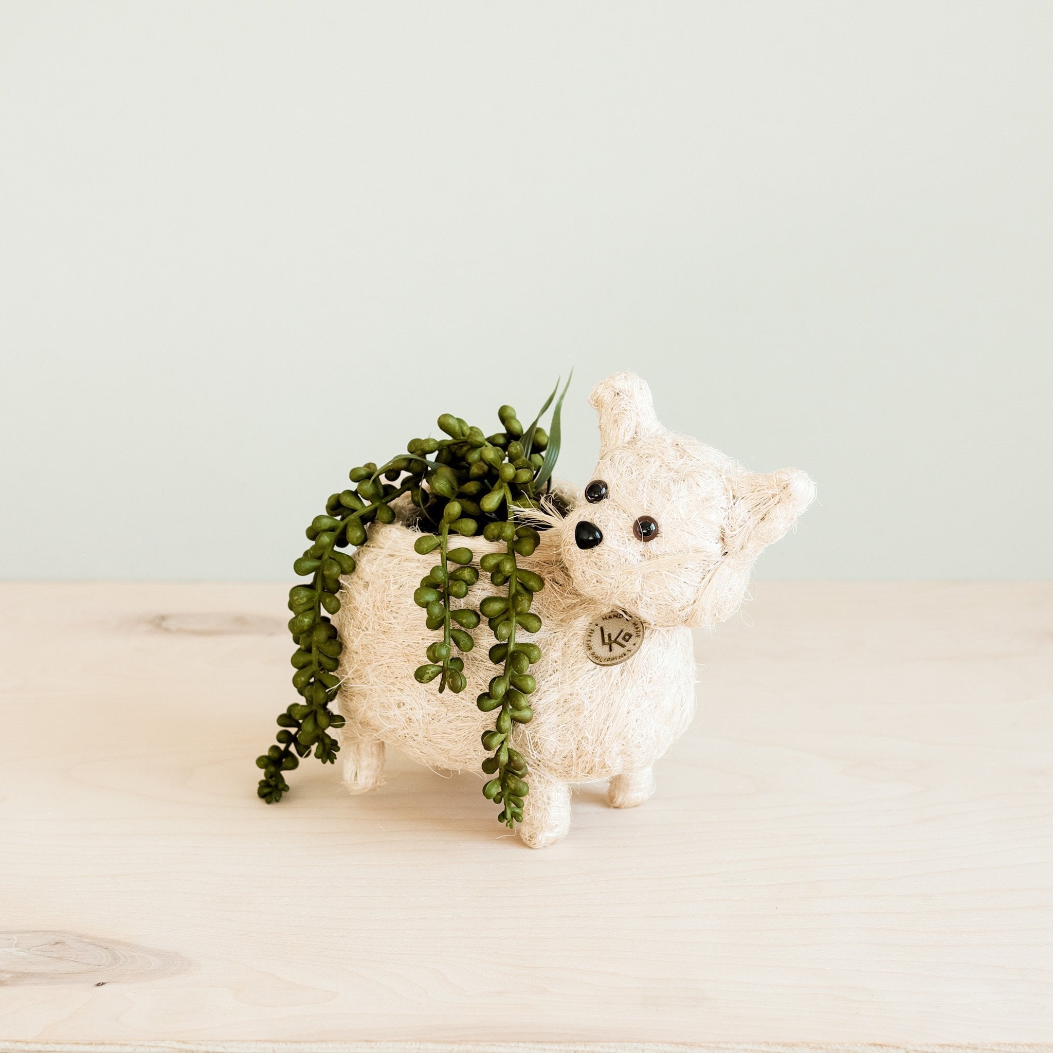 Planters - Baby Cat Planter - Handmade Pot | LIKHÂ - LIKHÂ