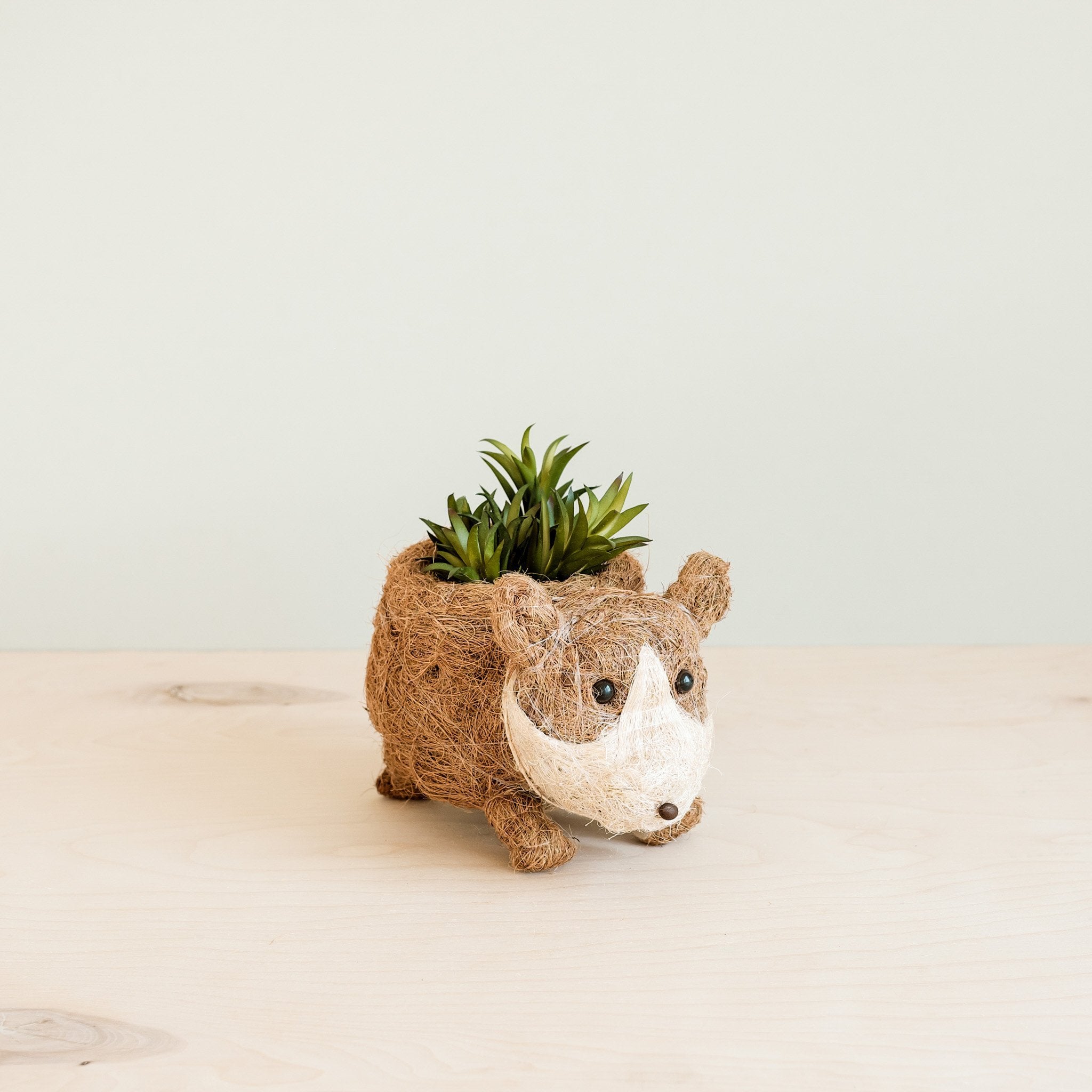 corgi succulent planter Baby Corgi Succulent Pot