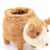 Planters - Baby Corgi Succulent Pot - Handmade Planters | LIKHÂ - LIKHÂ