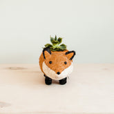 Planters - Baby Fox Planter - Handmade Pot | LIKHÂ - LIKHÂ