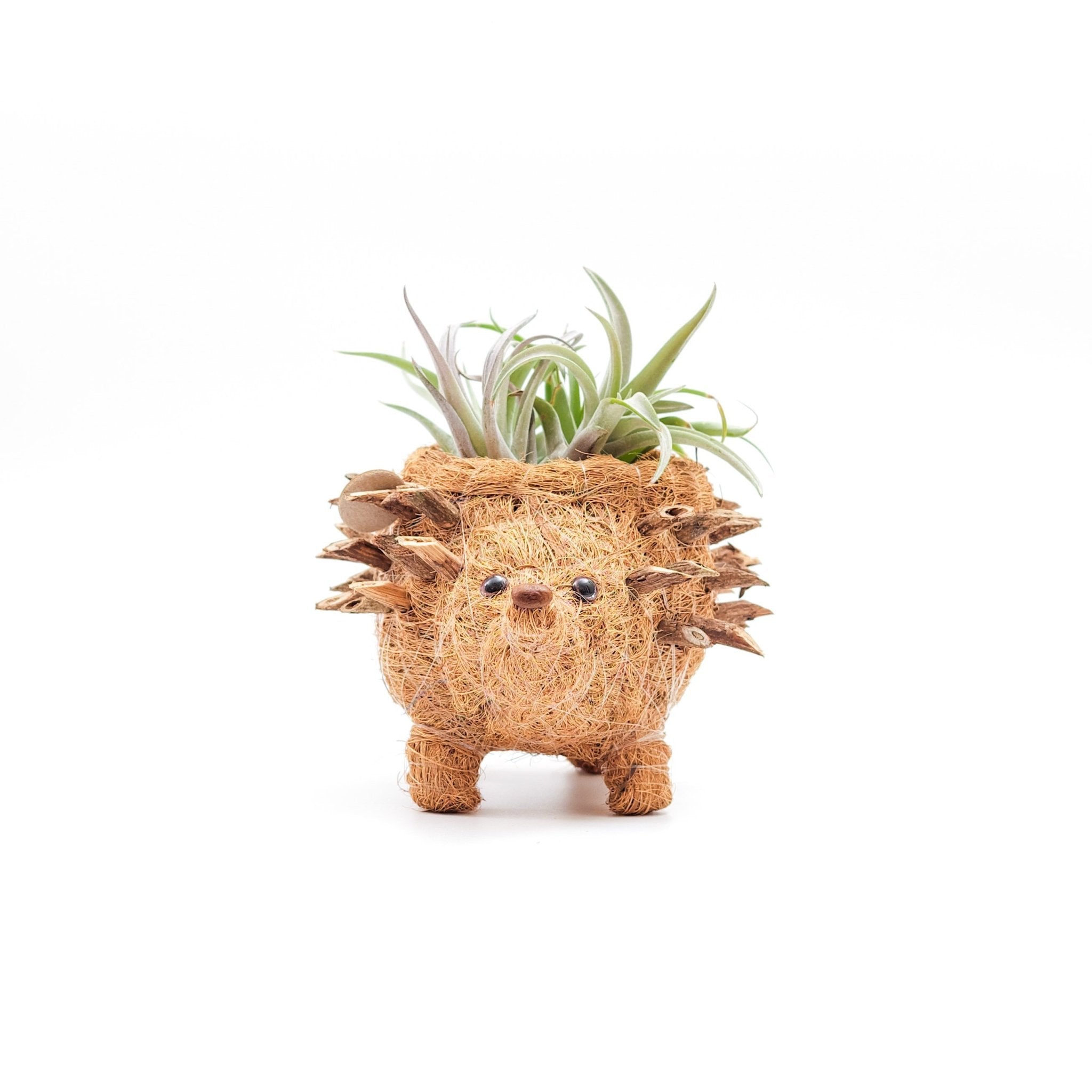 Planters - Baby Hedgehog Plant Pot - Handmade Planters | LIKHÂ - LIKHÂ