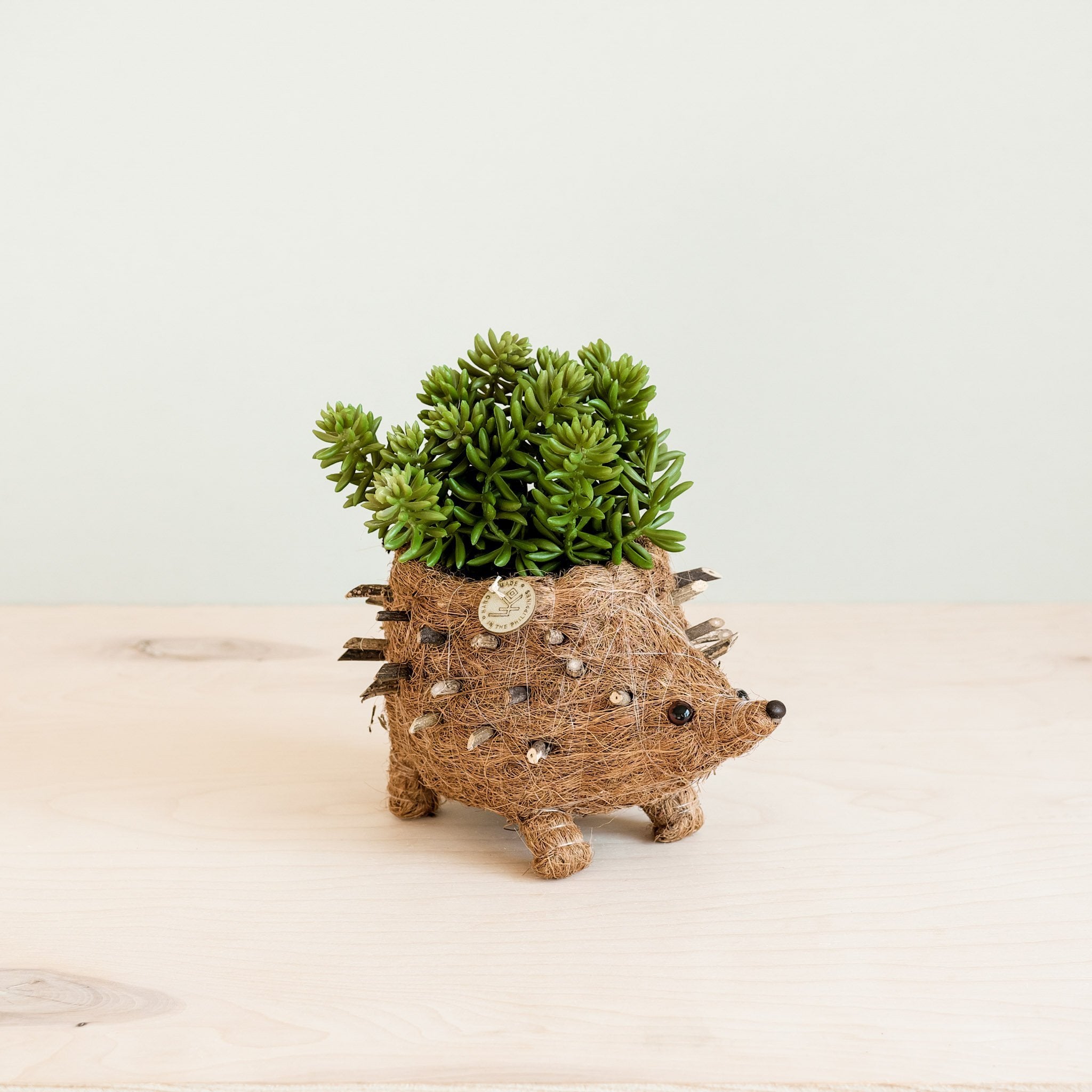 handmade plant pots Baby Hedgehog Plant Pot - Handmade Planters