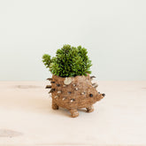 Planters - Baby Hedgehog Plant Pot - Handmade Planters | LIKHÂ - LIKHÂ