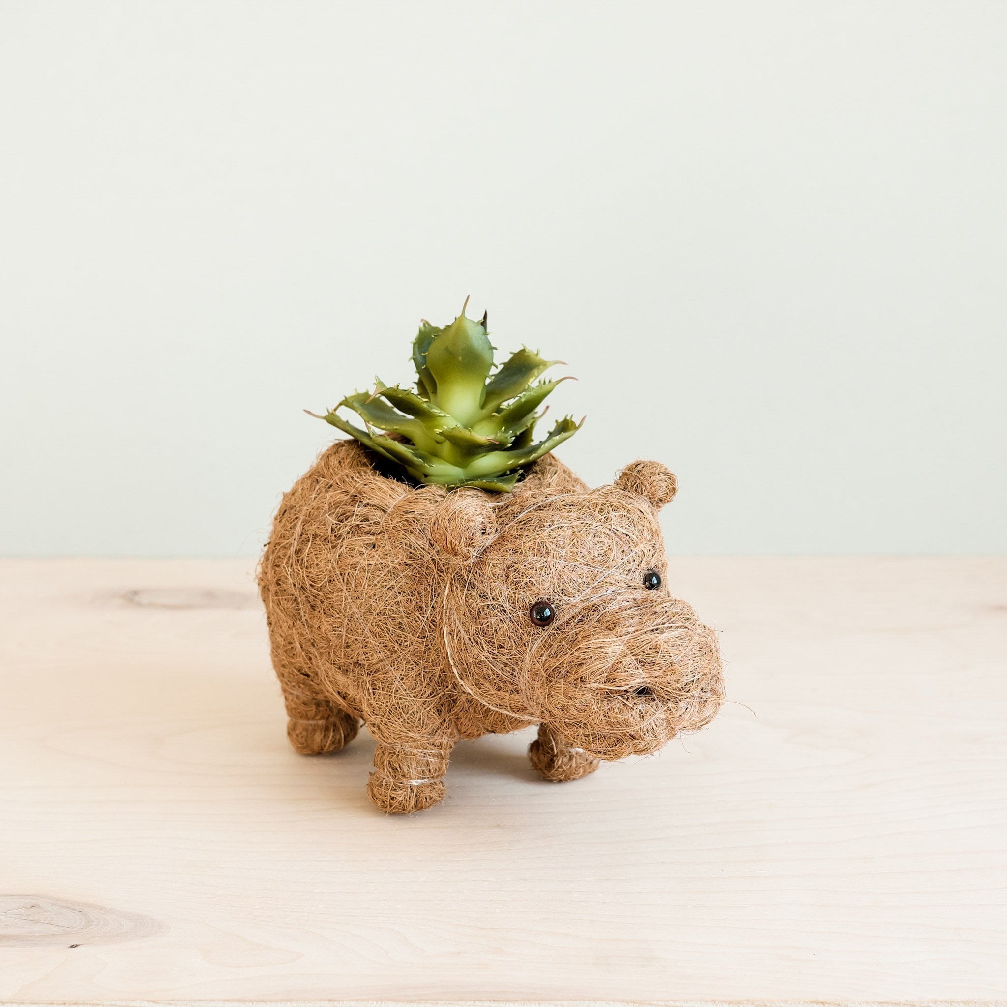 plant pots handmade Baby Hippo Plant Pot - Handmade Pots