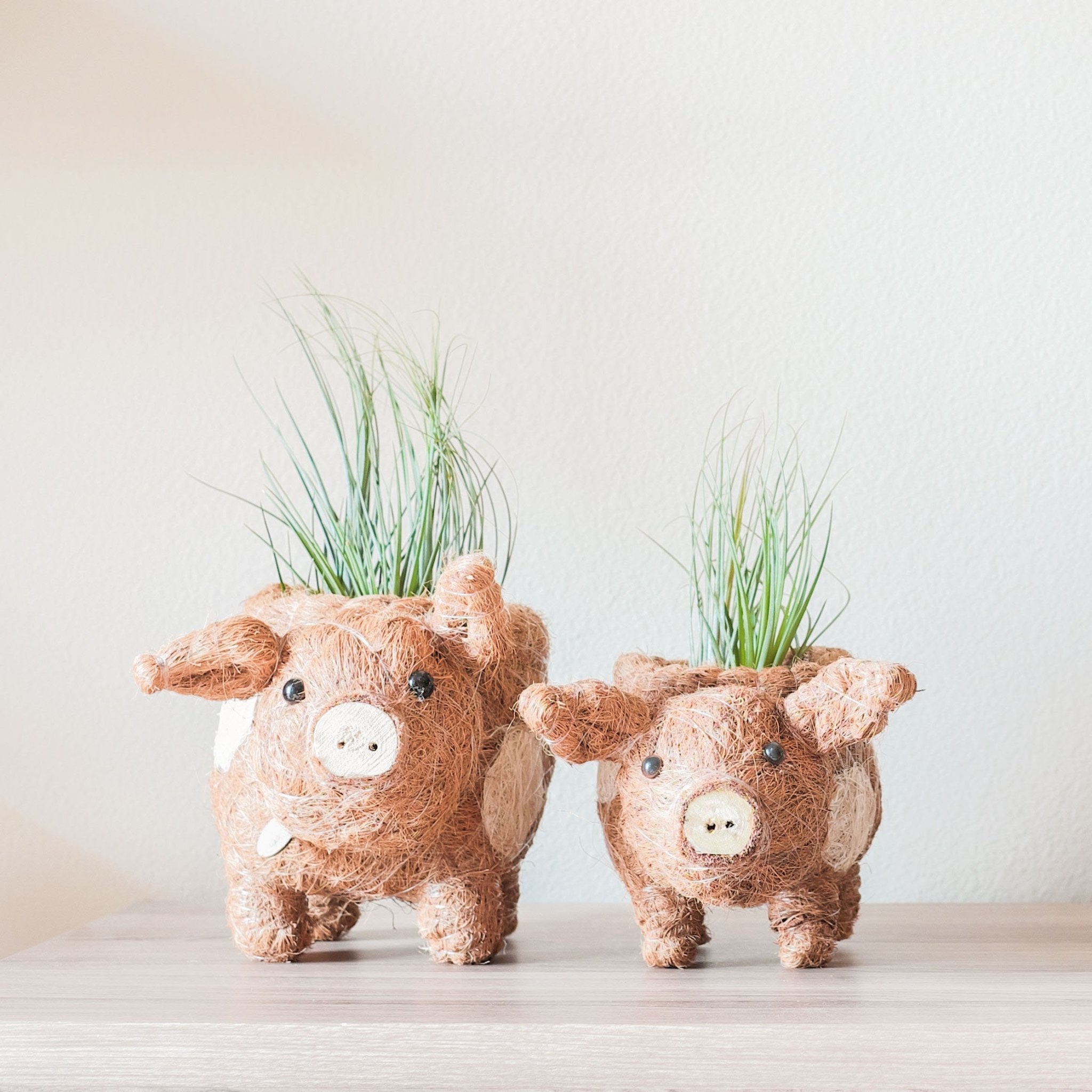 Planters - Baby Pig Succulent Pot - Handmade Planters | LIKHÂ - LIKHÂ