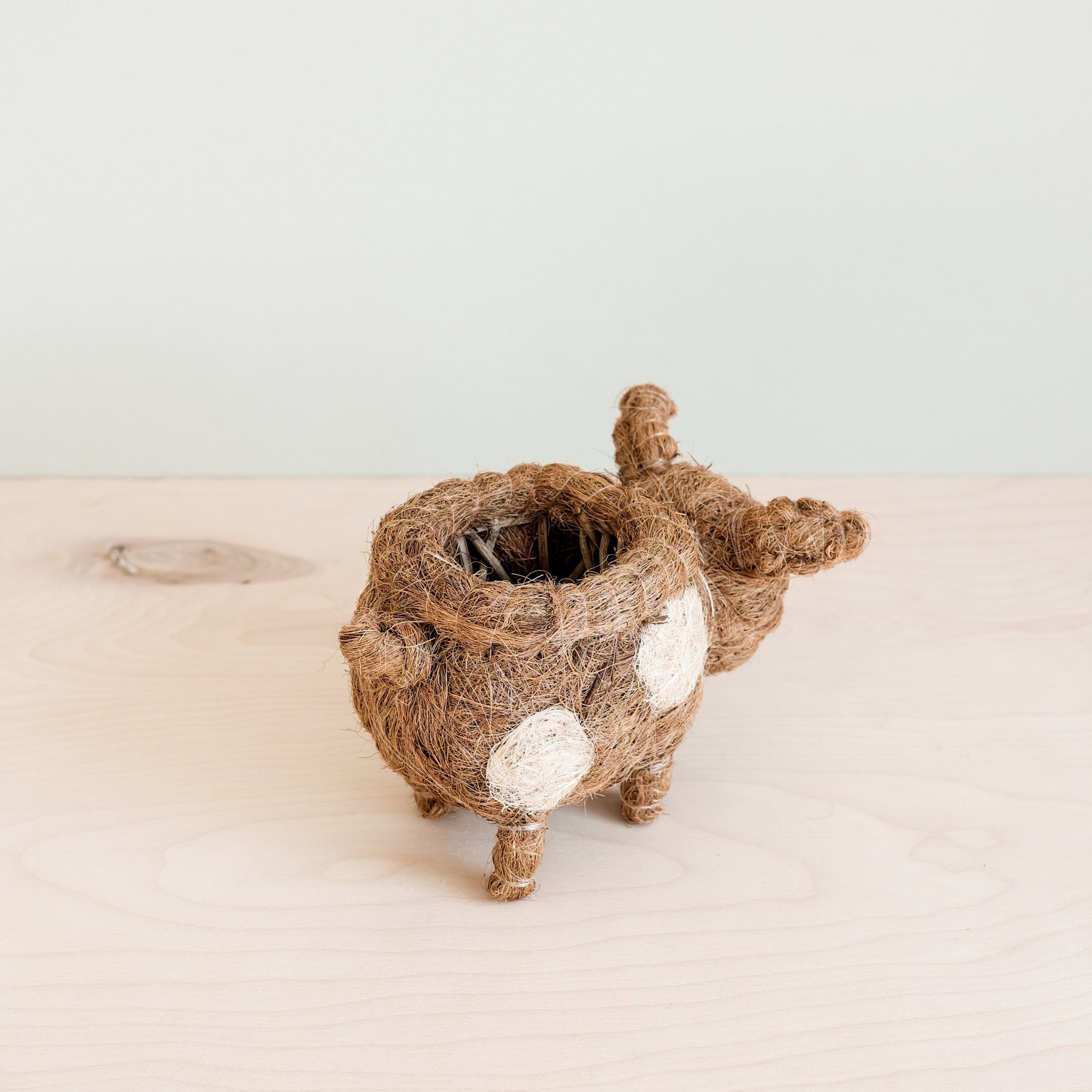 Planters - Baby Pig Succulent Pot - Handmade Planters | LIKHÂ - LIKHÂ