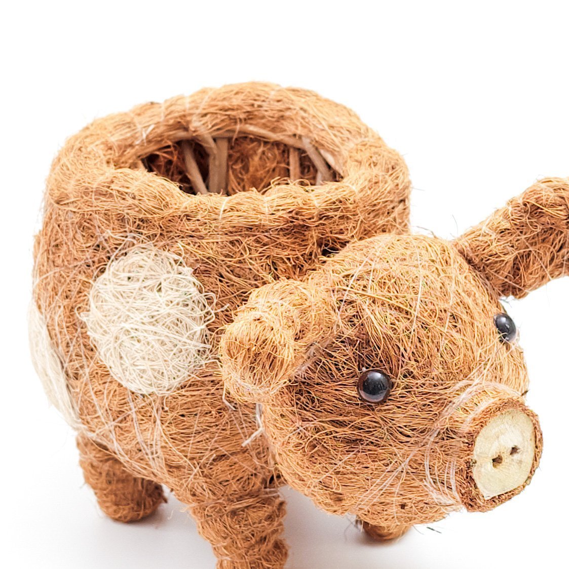 Planters - Baby Pig Succulent Pot - Handmade Planters | LIKHÂ - LIKHÂ