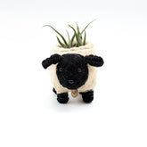 Planters - Baby Sheep Planter - Coco Coir Pots | LIKHÂ - LIKHÂ
