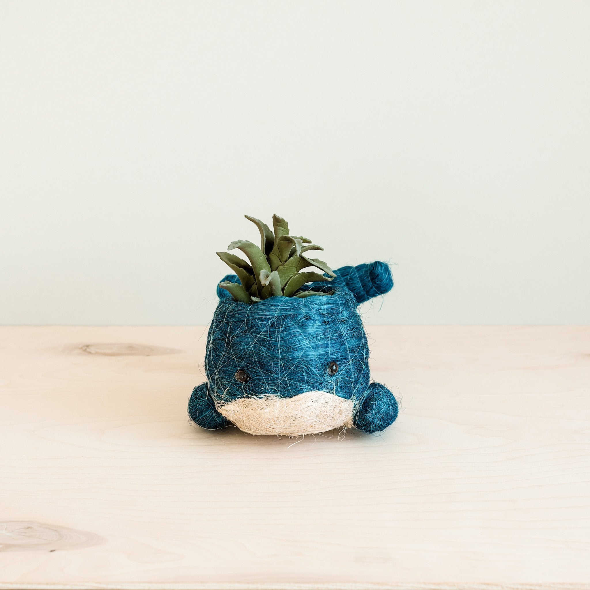 Planters - Baby Whale Flower Pot - Coco Coir Pots | LIKHÂ - LIKHÂ
