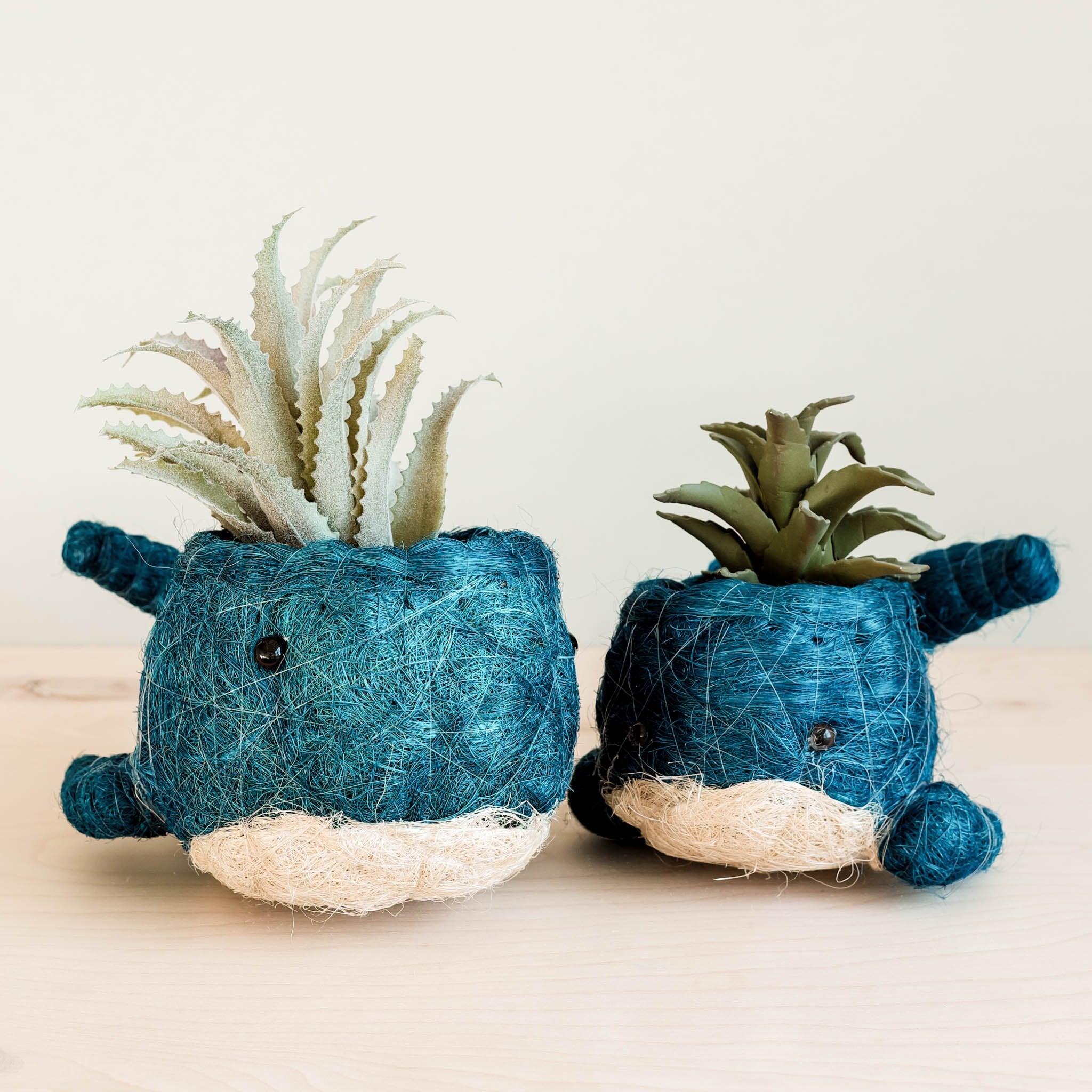 Planters - Baby Whale Flower Pot - Coco Coir Pots | LIKHÂ - LIKHÂ