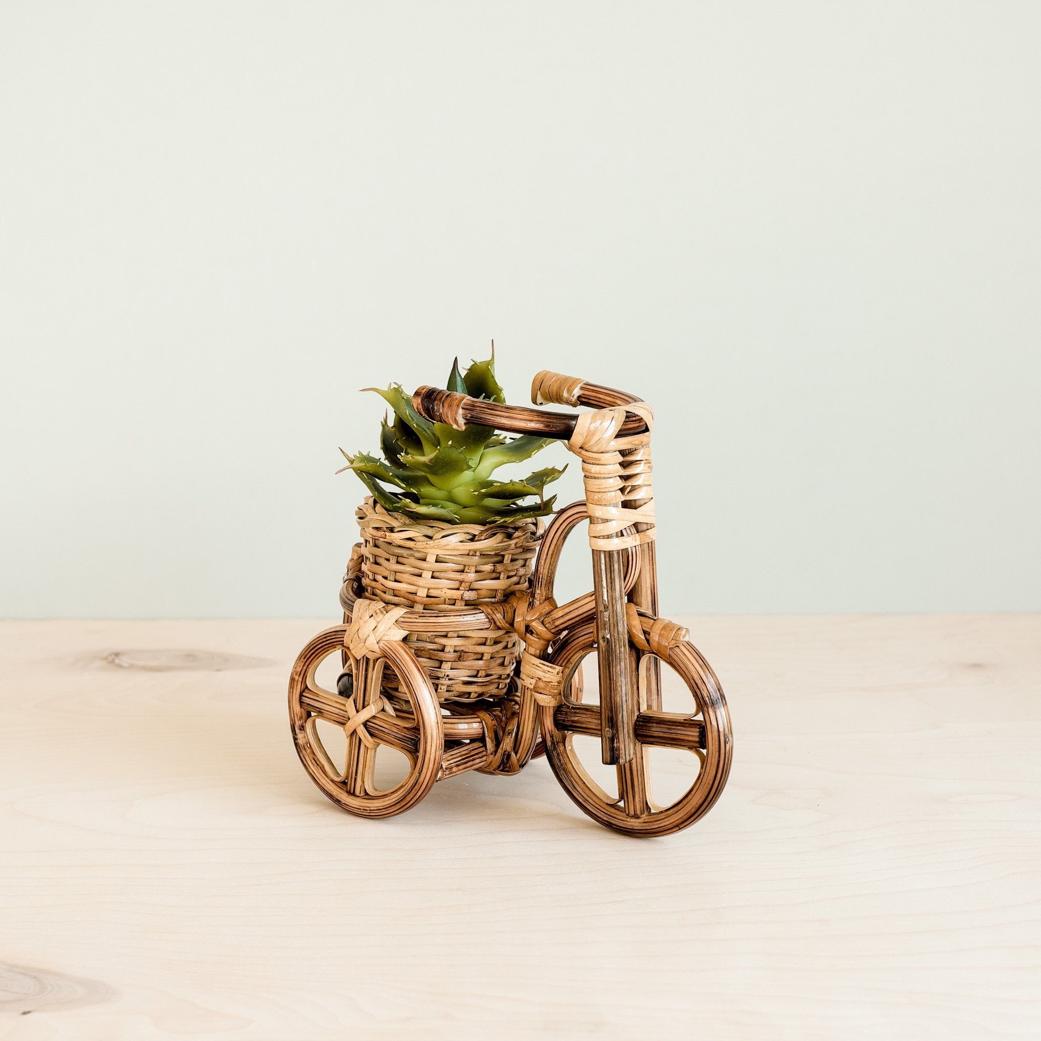 Planters - Bicycle Rattan Planter, small - Handmade Planters | LIKHÂ - LIKHÂ