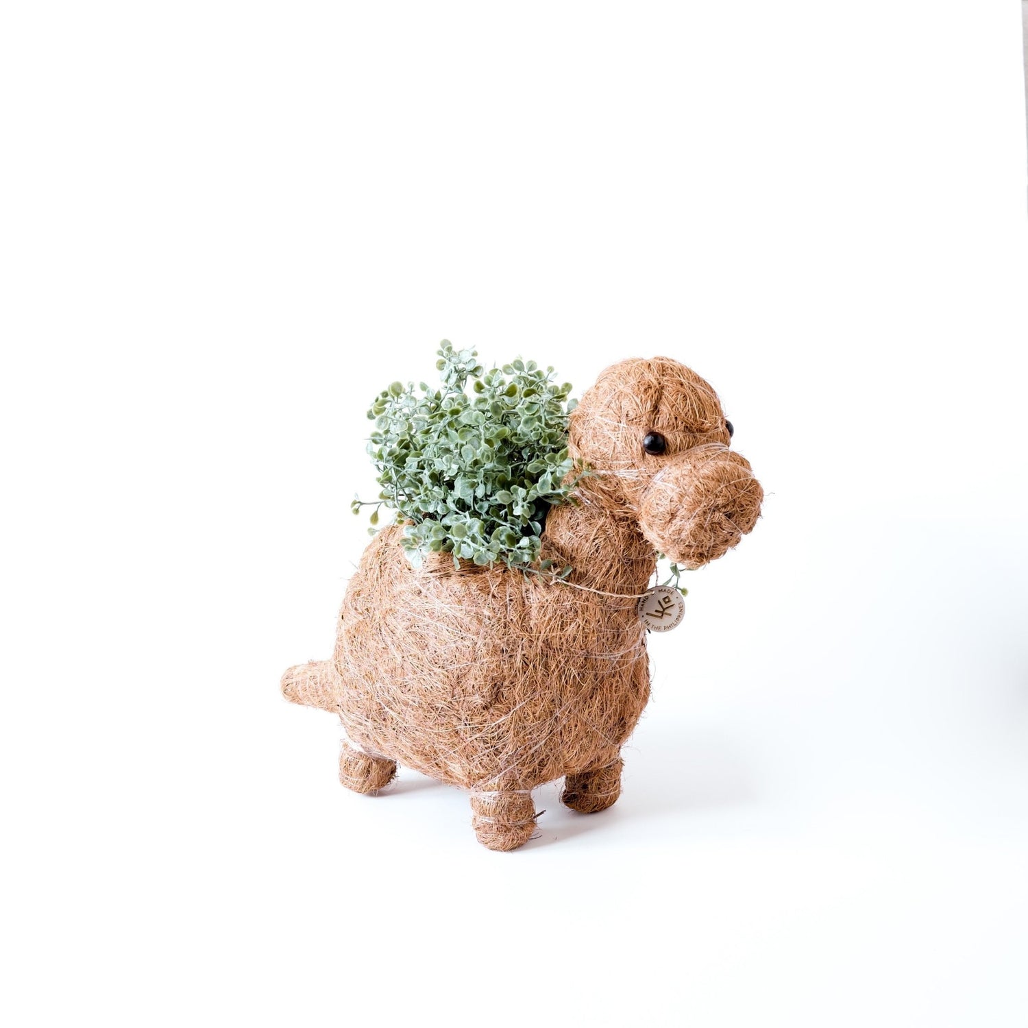 Planters - Brontosaurus Planter - Coco Coir Pots | LIKHÂ - LIKHÂ