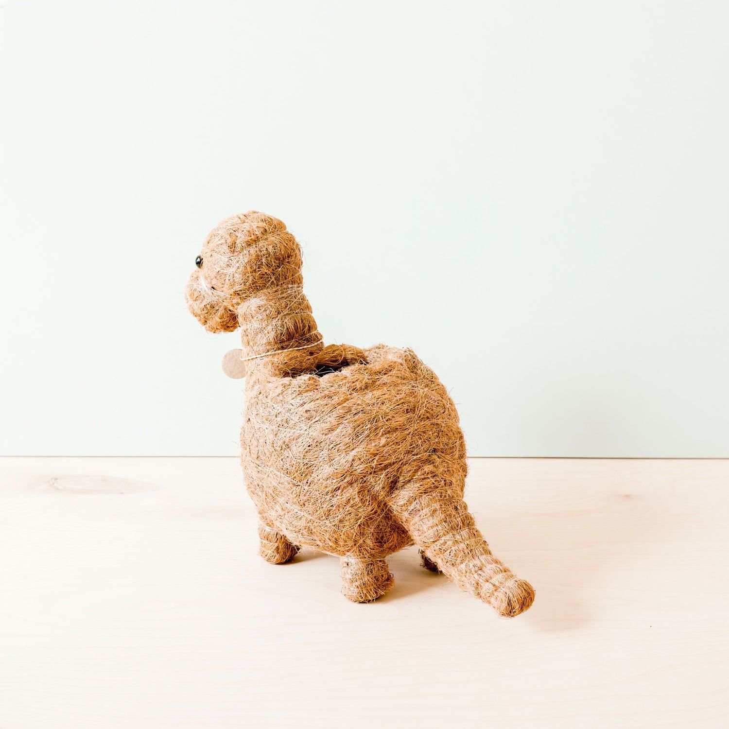 Planters - Brontosaurus Planter - Coco Coir Pots | LIKHÂ - LIKHÂ