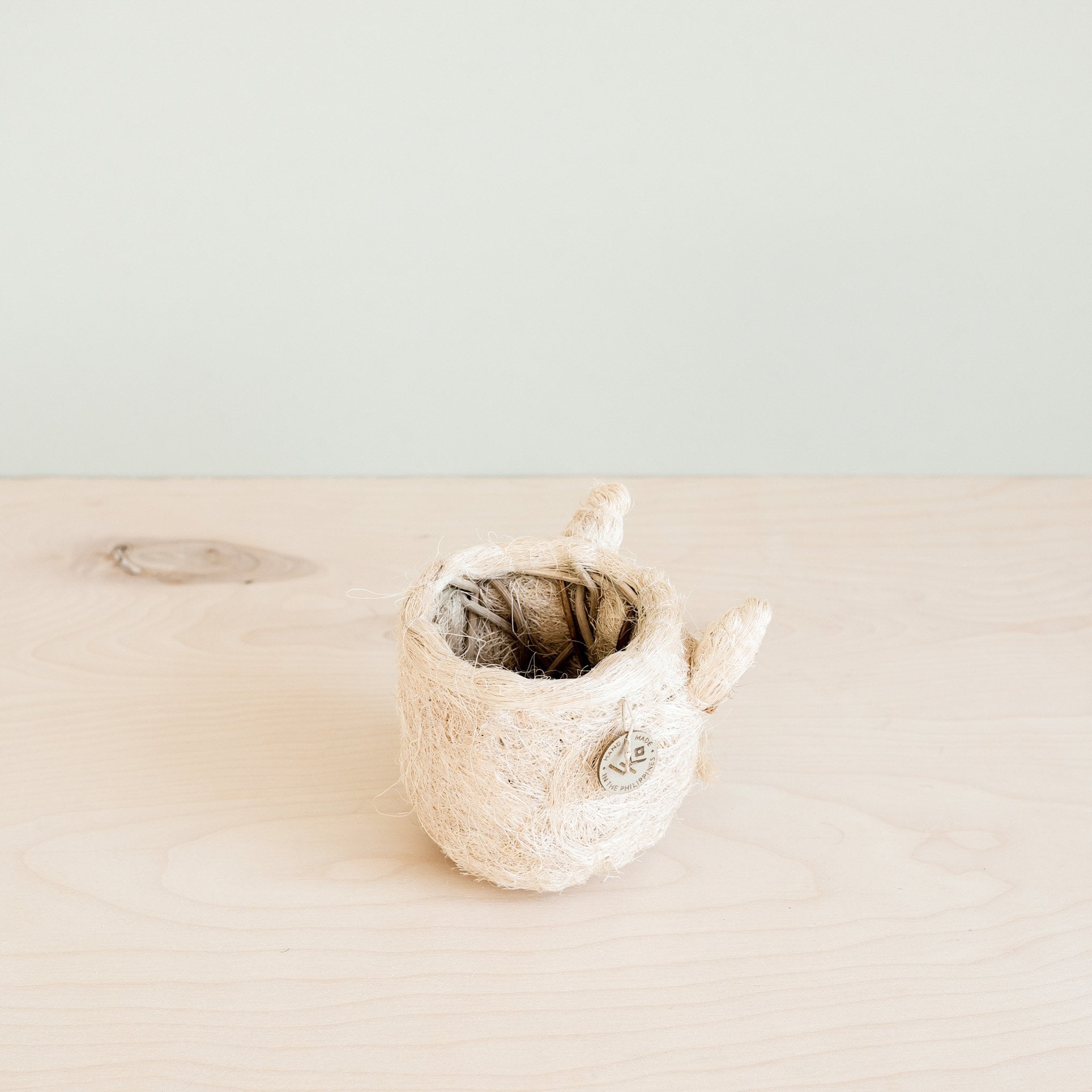 Planters - Cat Succulent Planter - Animal Head Planters | LIKHÂ - LIKHÂ
