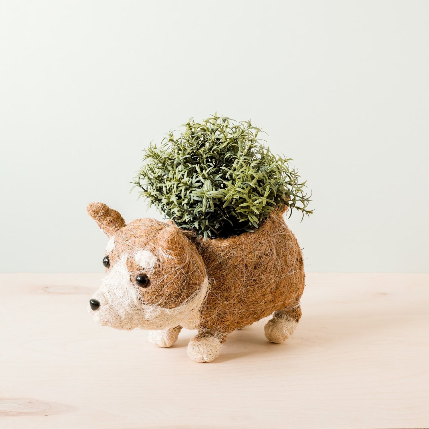 Planters - Corgi Succulent Pot - Handmade Planters | LIKHA - LIKHÂ