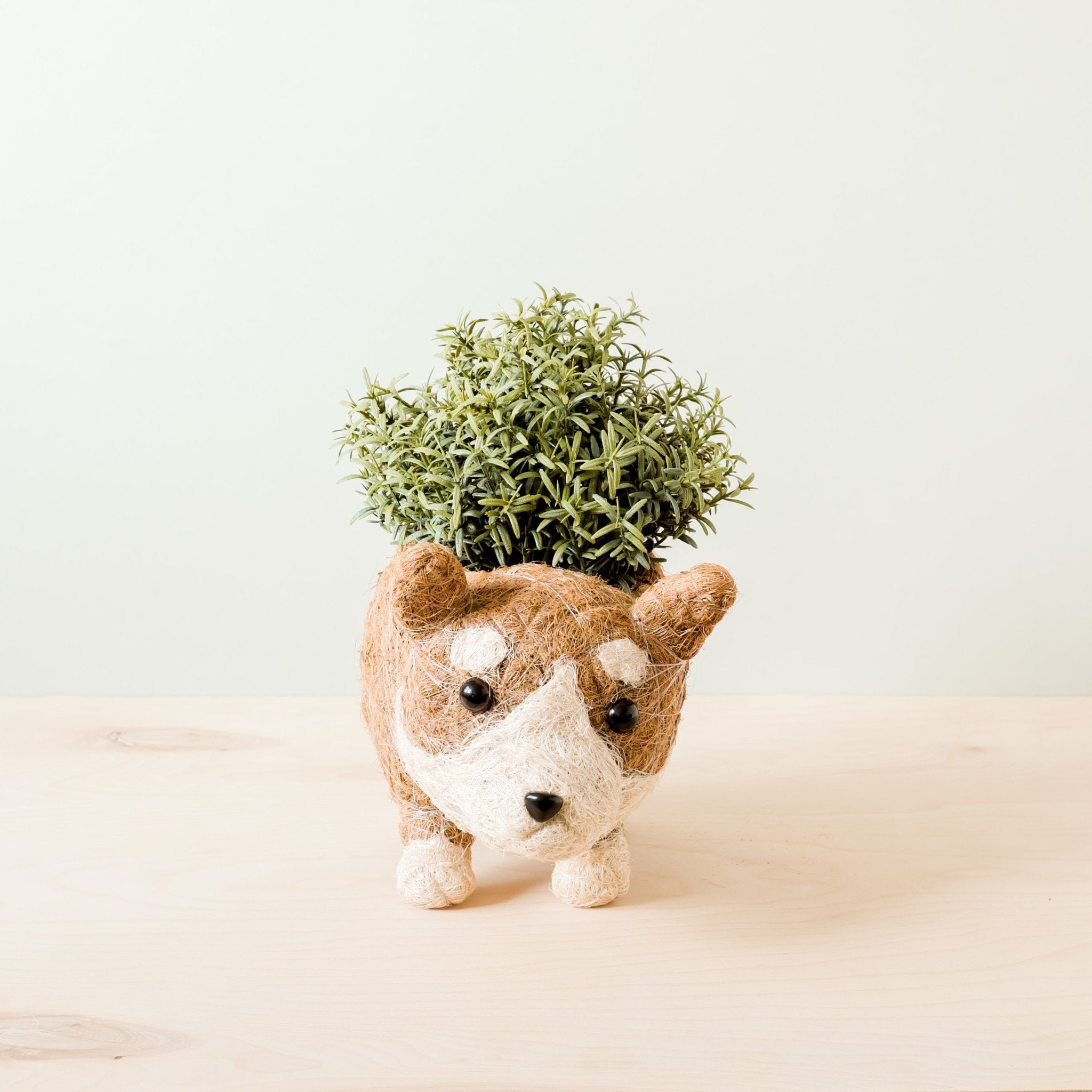 corgi plant pot Corgi Succulent Pot - Handmade Planters