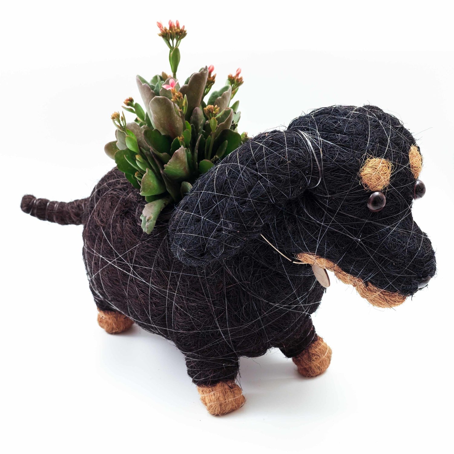 Planters - Dachshund Dog Planter - Coco Planter | LIKHÂ - LIKHÂ