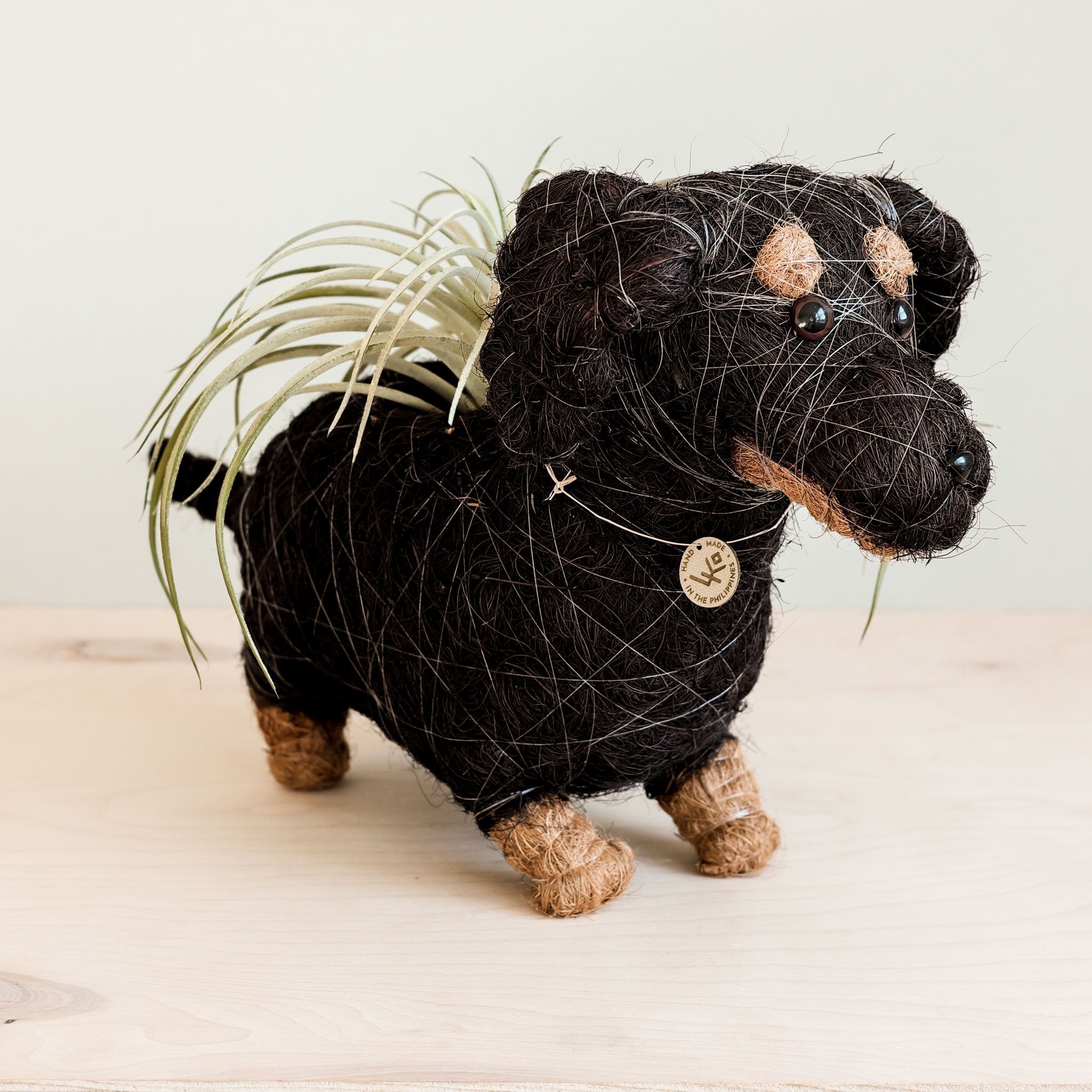 dachshund succulent planter Dachshund Dog Planter - Coco Planter