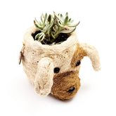 Planters - Dog Succulent Planter - Animal Head Plant Pot | LIKHÂ - LIKHÂ