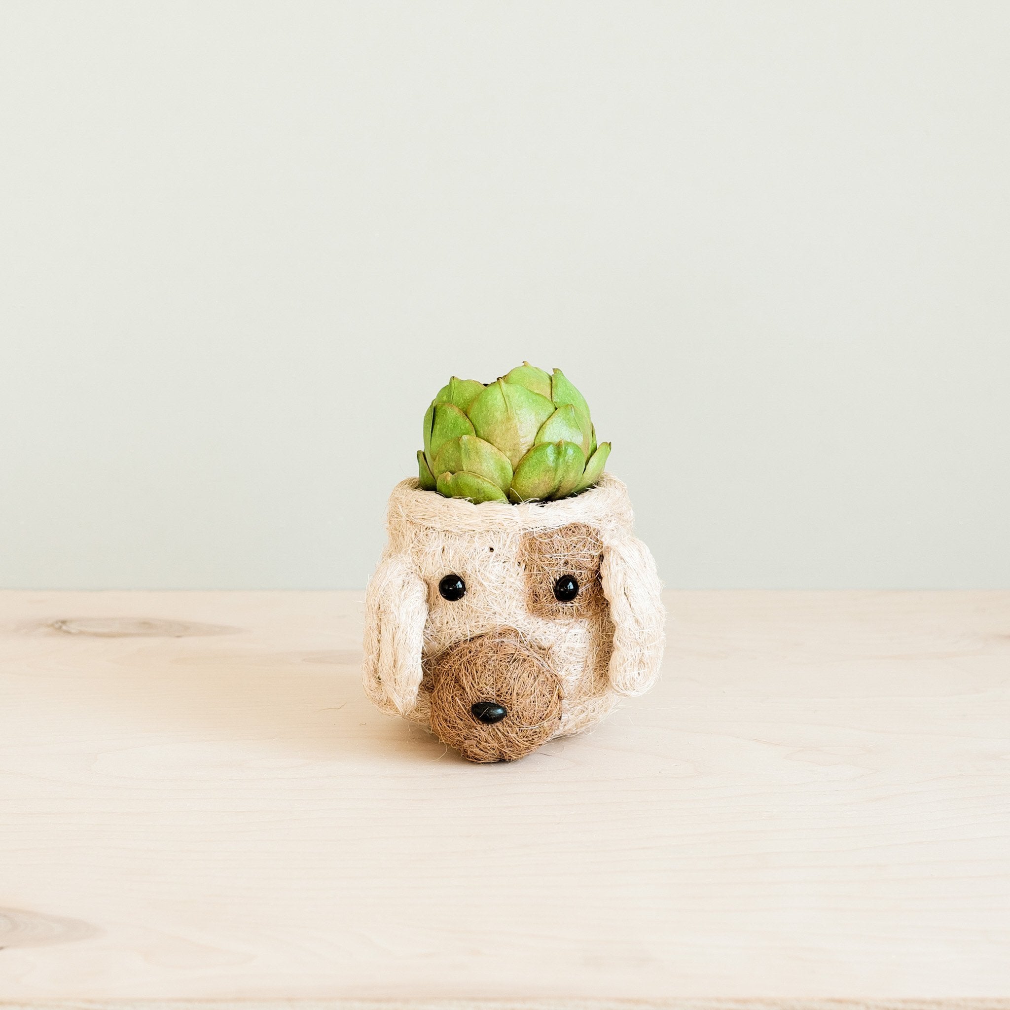 dog plant pot Dog Succulent Planter