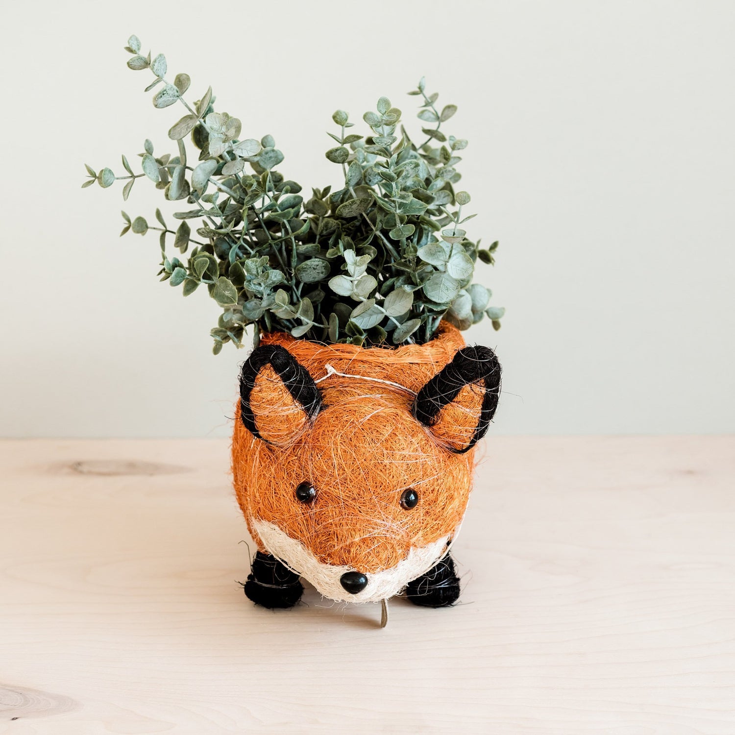 Planters - Fox Planter - Coir Planters | LIKHÂ - LIKHÂ