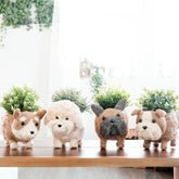 Planters - French Bulldog Planter - Coco Coir Pots | LIKHÂ - LIKHÂ