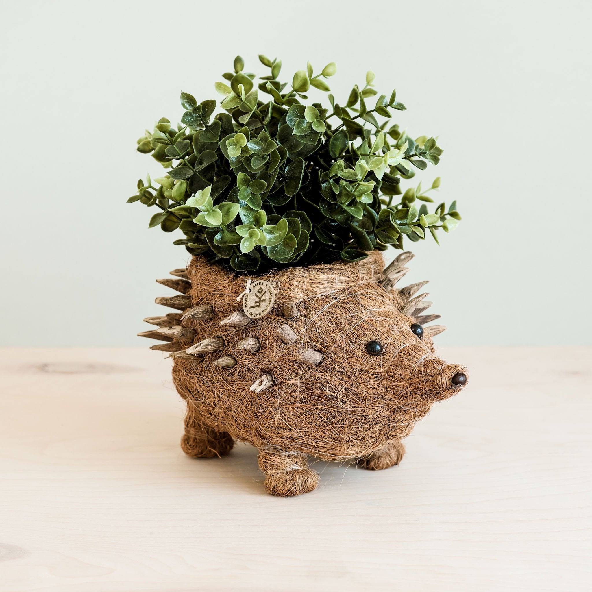 Planters - Hedgehog Planter - Coco Planter| LIKHÂ - LIKHÂ