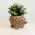 Planters - Hedgehog Planter - Coco Planter| LIKHÂ - LIKHÂ
